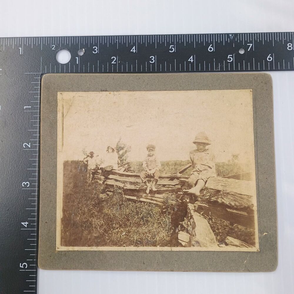 Children on Fence Mounted Photo 1910s Rural Americana Snapshot